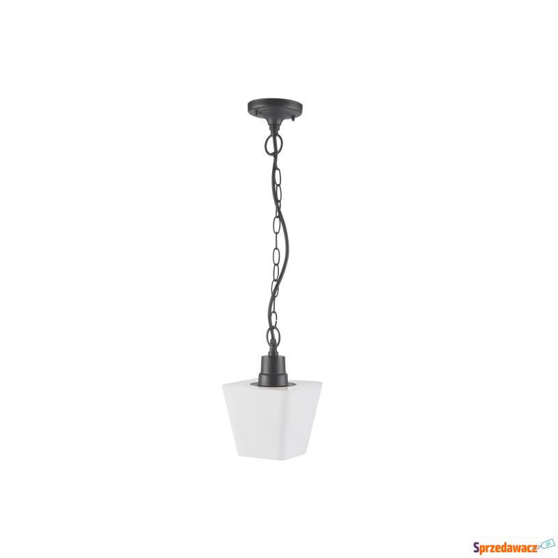 Sanico Giza 312242 lampa wisząca zewnętrzna zwis... - Lampy - Rzeszów