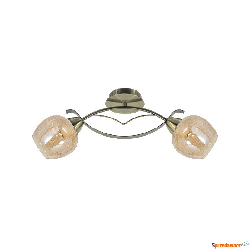 Elem Braga 8755/2 21QG plafon lampa sufitowa 2x60W... - Plafony - Legnica