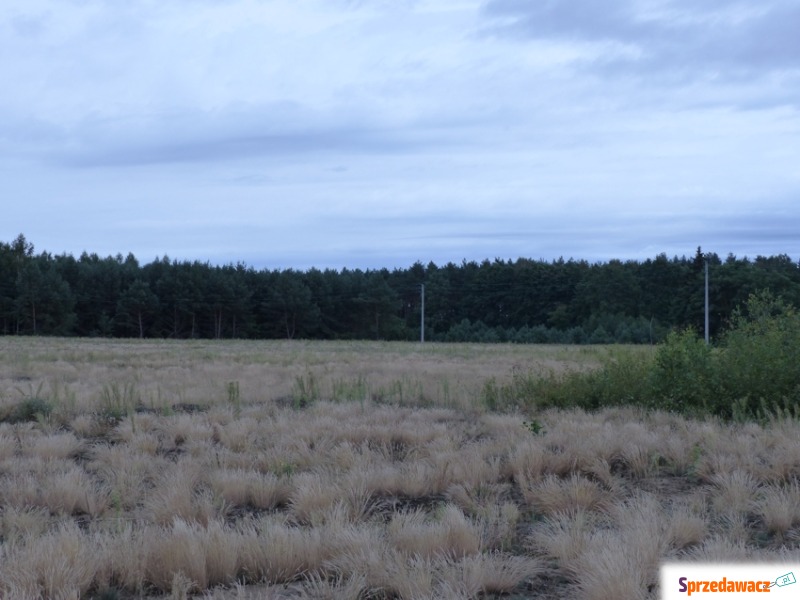 Działka rolno-budowlana Lipno sprzedam, pow. 88 500 m2  (8.85ha), uzbrojona