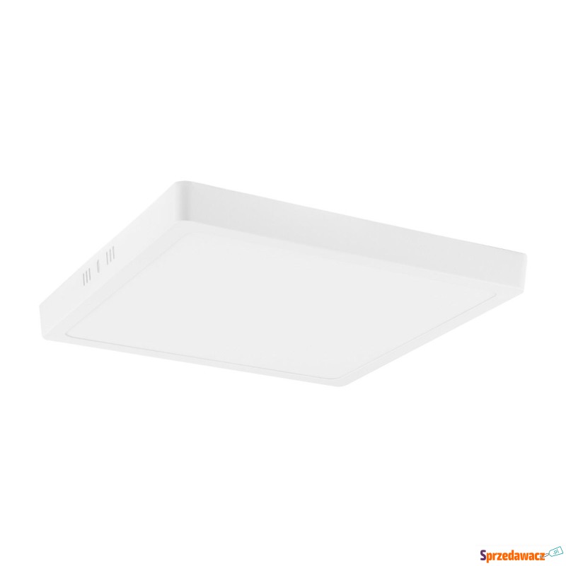 Eco Light EC79817 plafon lampa sufitowa 24W LED... - Plafony - Płock