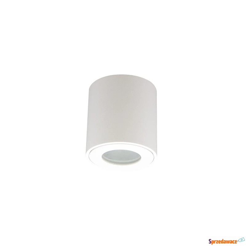 Eco Light EC79971 spot lampa sufitowa 1x35W GU10... - Pozostałe oświetlenie - Częstochowa