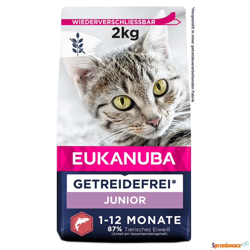 Eukanuba Kitten Grain Free, z łososiem - 2 kg - Karmy dla kotów - Jelenia Góra