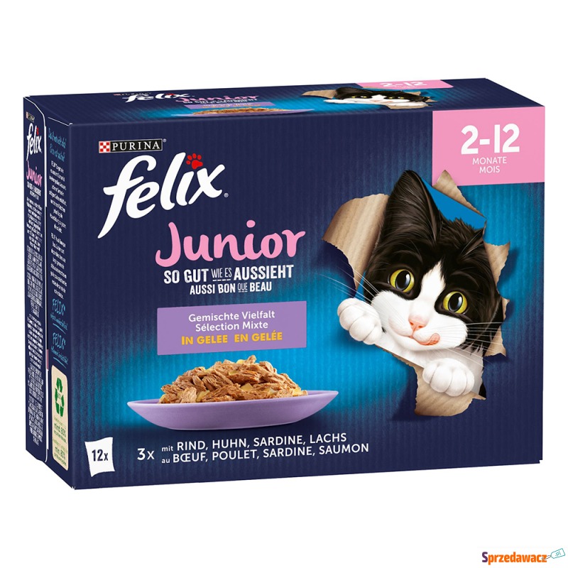 Felix Junior, w galarecie, So gut wie es aussieht,... - Karmy dla kotów - Nysa