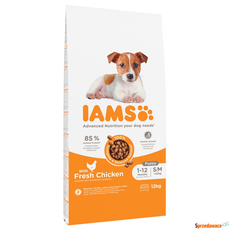 IAMS Advanced Nutrition Puppy Small / Medium... - Karmy dla psów - Łowicz