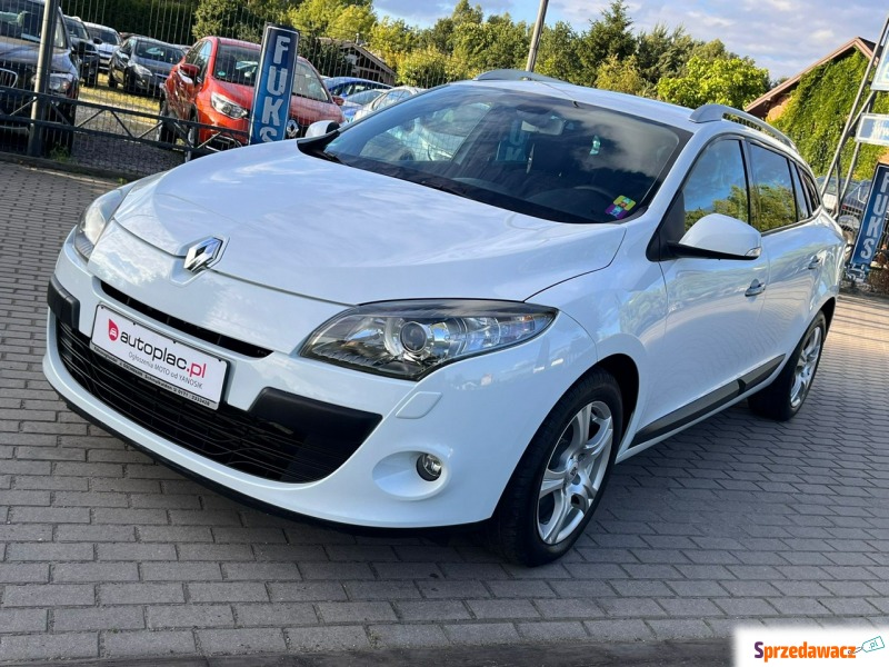 Renault Megane 2010,  1.4 benzyna - Na sprzedaż za 18 900 zł - Zduńska Wola