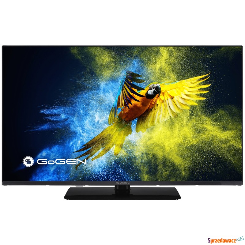 Telewizor Gogen 43” TVF43M340STWEB DVB-T2 tryb... - Telewizory - Elbląg