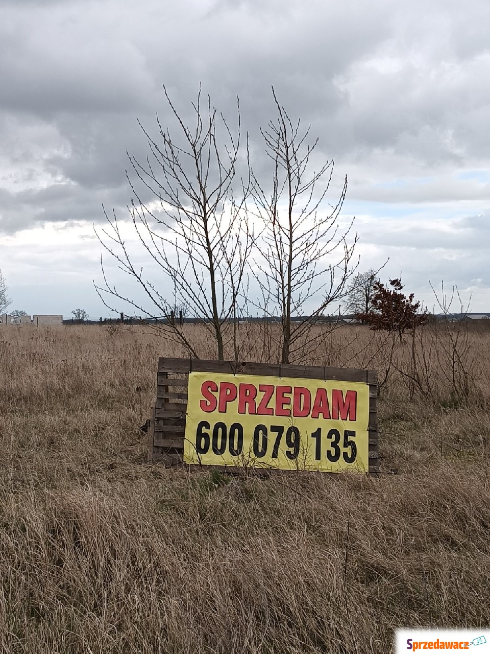 Sprzedam 2 przylegające do siebie...