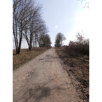Działka budowlana Witkowo Pierwsze sprzedam, pow. 1135 m2  (11.4a), uzbrojona - zdjęcie 5