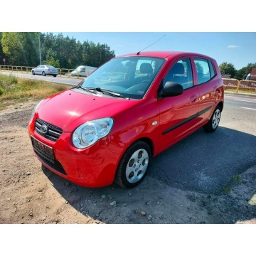 Kia Picanto  Hatchback 2009,  1.1 benzyna - Na sprzedaż za 10 400 zł - Dolna Grupa - zdjęcie 2