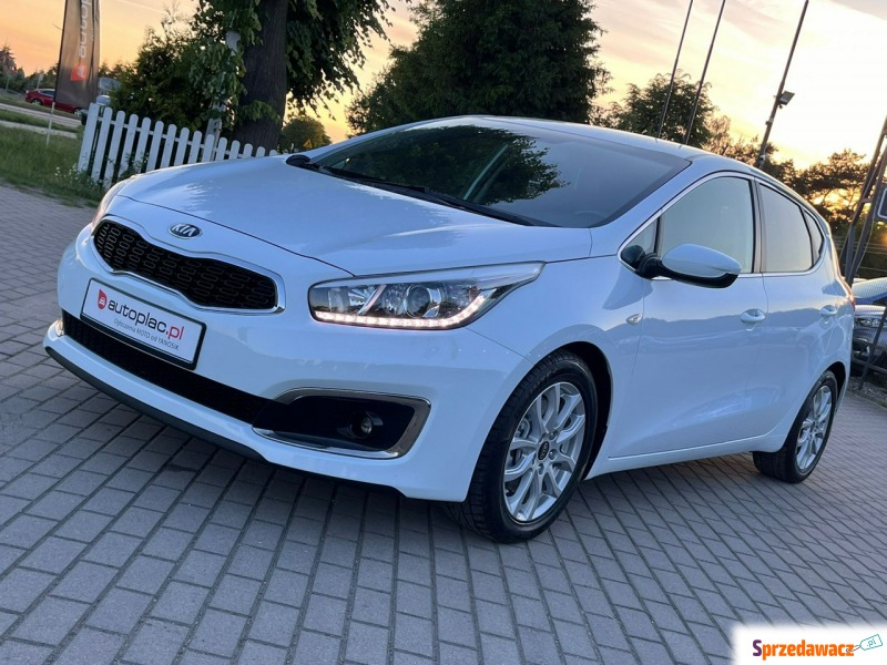 Kia Ceed  Hatchback 2015,  1.6 benzyna - Na sprzedaż za 39 900 zł - Zduńska Wola