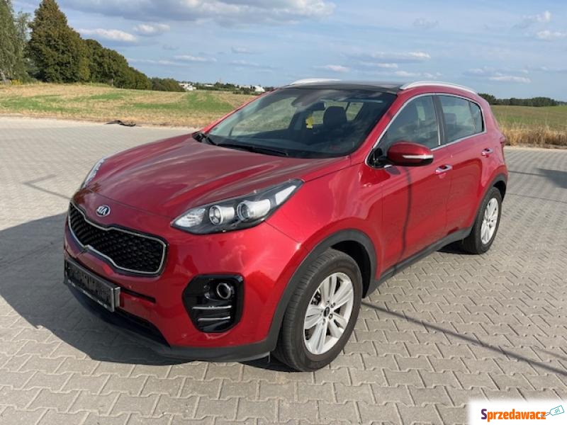 Kia Sportage, 1,7 DIESEL 115 PS KLIMA PANORAQMA... - Samochody osobowe - Chojnice