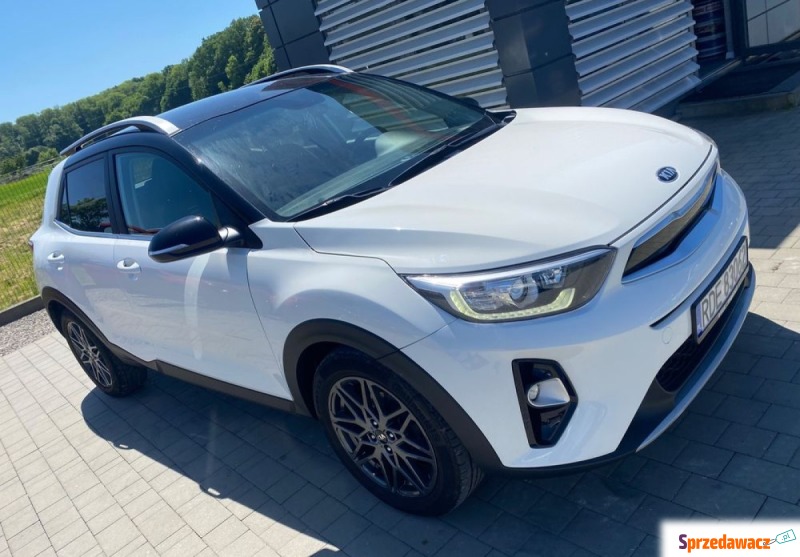 Kia Stonic 1.6 CRDi SCR XL, 2020, 115 KM, Diesel - Samochody osobowe - Strzegocice