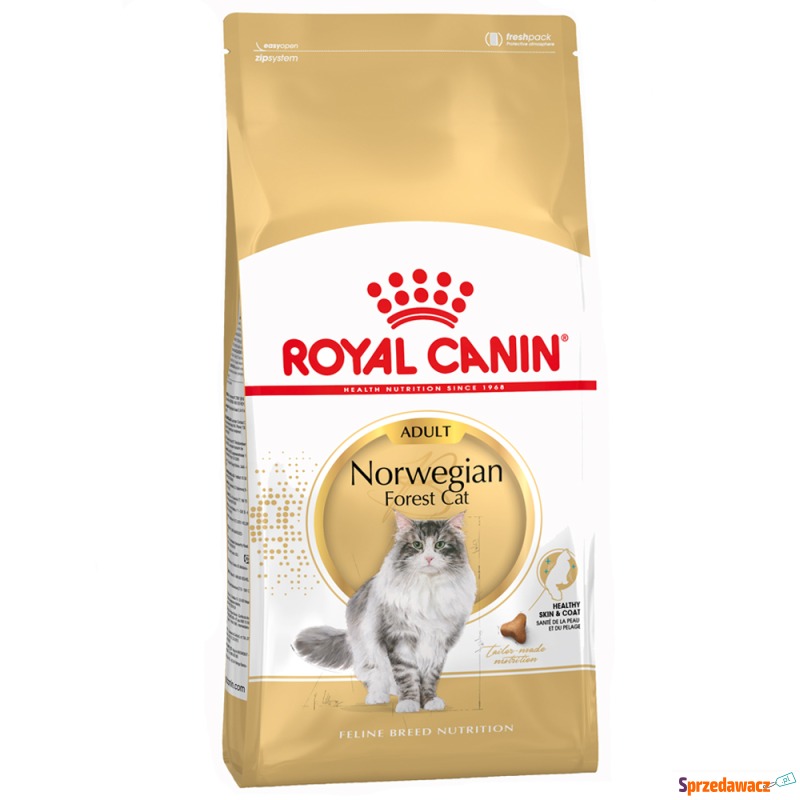 Royal Canin Norwegian Forest Cat Adult - 2 kg - Karmy dla kotów - Nowy Sącz