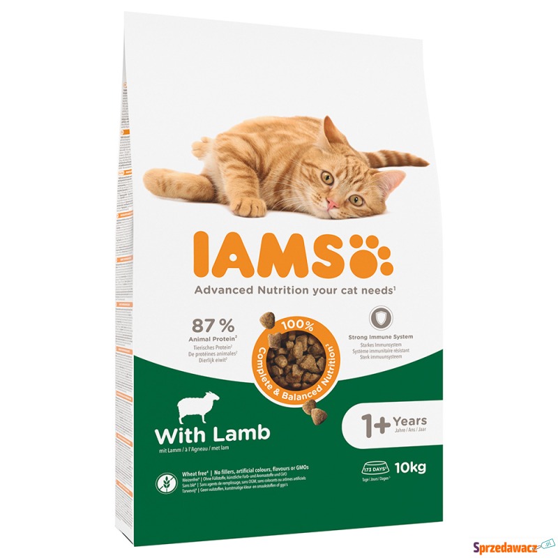 IAMS Advanced Nutrition Adult Cat, z jagnięciną... - Karmy dla kotów - Tarnów