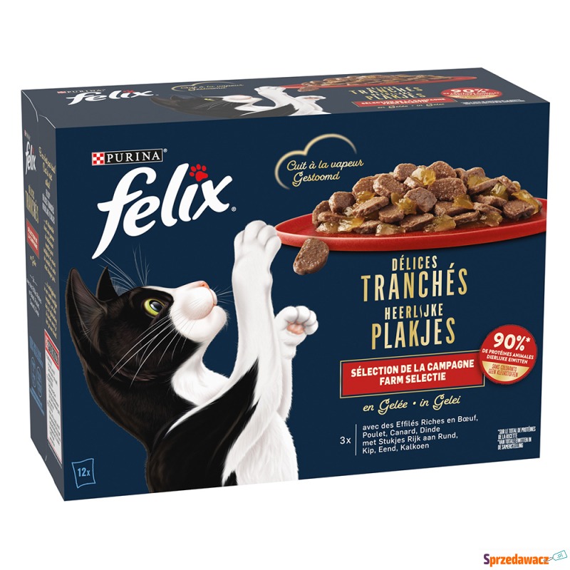 Felix Deliciously Sliced w galarecie, 12 x 80... - Karmy dla kotów - Kutno