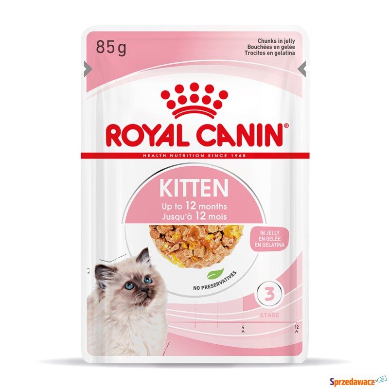 Royal Canin Kitten w galarecie - 48 x 85 g - Karmy dla kotów - Gdynia