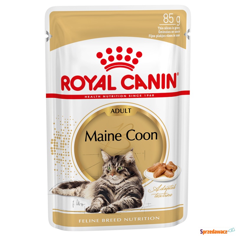 Royal Canin Maine Coon Adult w...