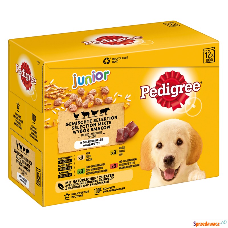 Pedigree Junior Saszetki w galarecie - Pakiet... - Karmy dla psów - Gdańsk