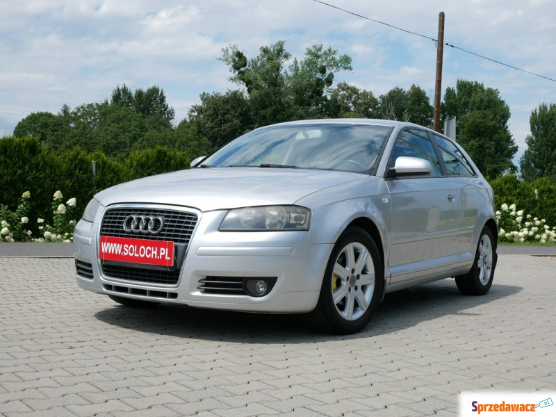 Audi A3  Hatchback 2006,  1.6 benzyna - Na sprzedaż za 14 700 zł - Goczałkowice-Zdrój