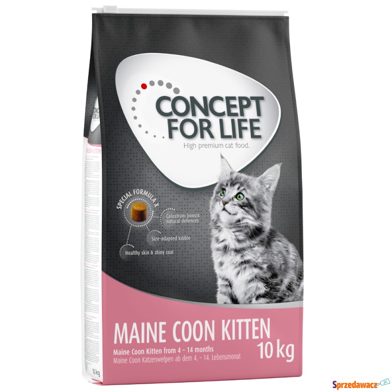 Concept for Life Maine Coon Kitten - Ulepszona... - Karmy dla kotów - Szczecin