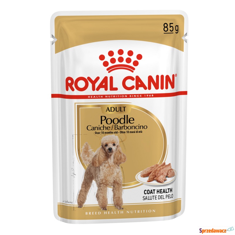 Royal Canin Poodle Adult - 48 x 85 g - Karmy dla psów - Elbląg