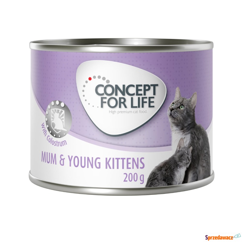 Concept for Life Mum & Young Kittens w musie -... - Karmy dla kotów - Katowice