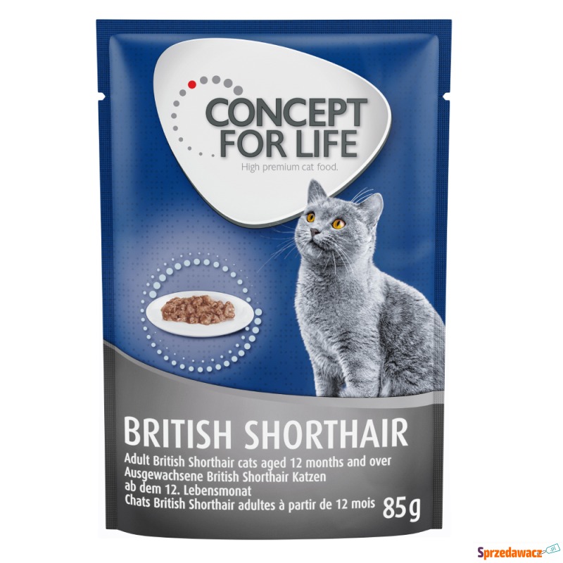 Concept for Life British Shorthair Adult, ragout... - Karmy dla kotów - Oława