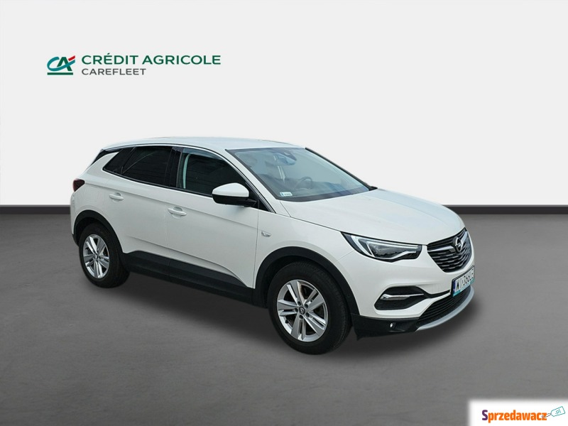 Opel Grandland X  SUV 2021,  1.6 benzyna - Na sprzedaż za 92 300 zł - Janki