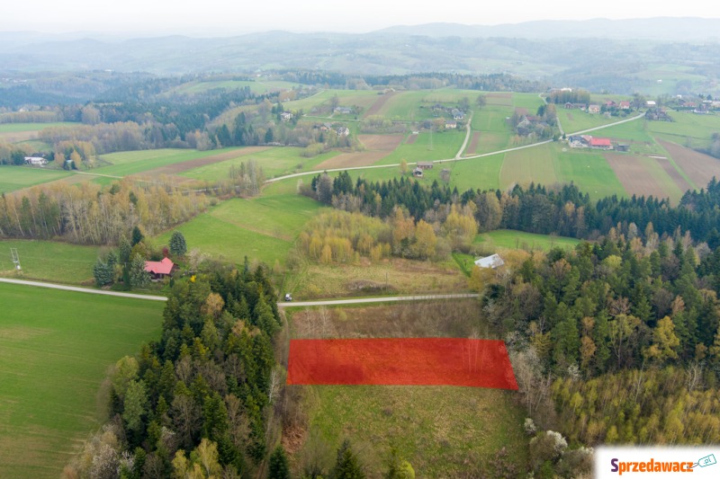 Działka rekreacyjna Rzepiennik Strzyżewski sprzedam, pow. 1100 m2  (11a)