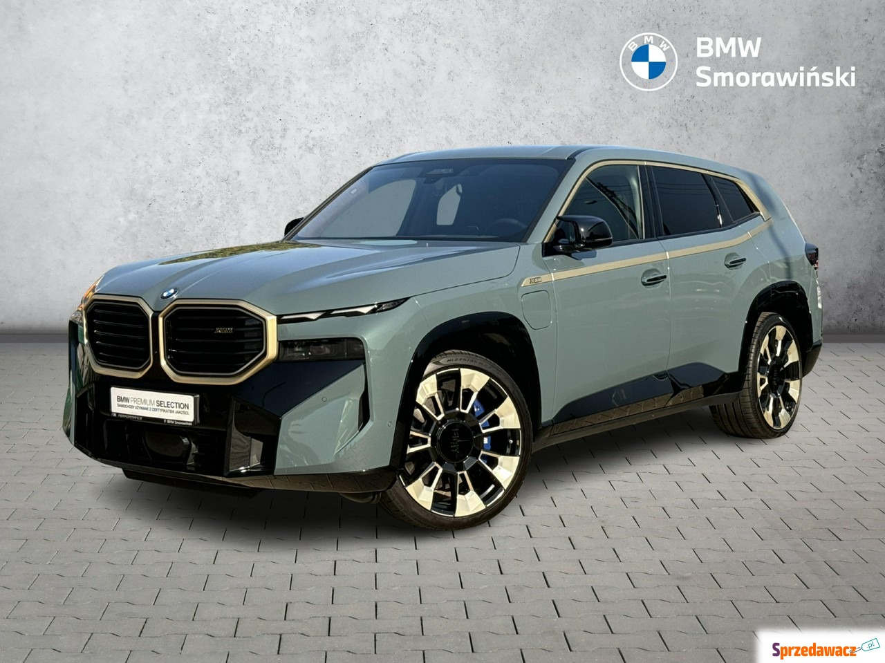 BMW XM 2023