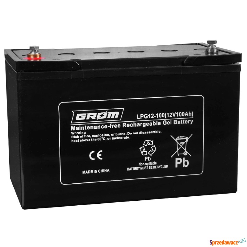 Akumulator żelowy GROM 12V 100Ah LPG12-100 - Akumulatory - Sosnowiec