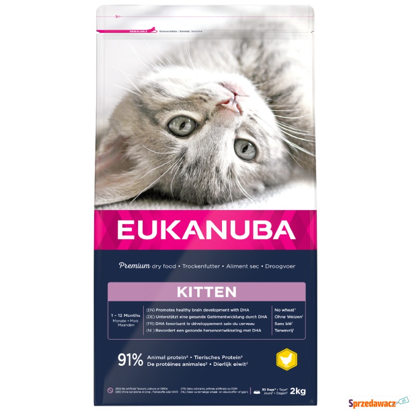 Eukanuba Healthy Start Kitten - 2 kg - Karmy dla kotów - Chełmno