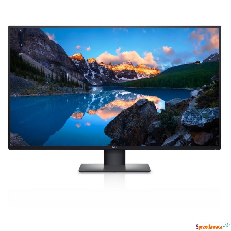 Dell Monitor U4323Q 42.5 cala IPS UHD 4K (384... - Monitory LCD i LED - Kędzierzyn-Koźle