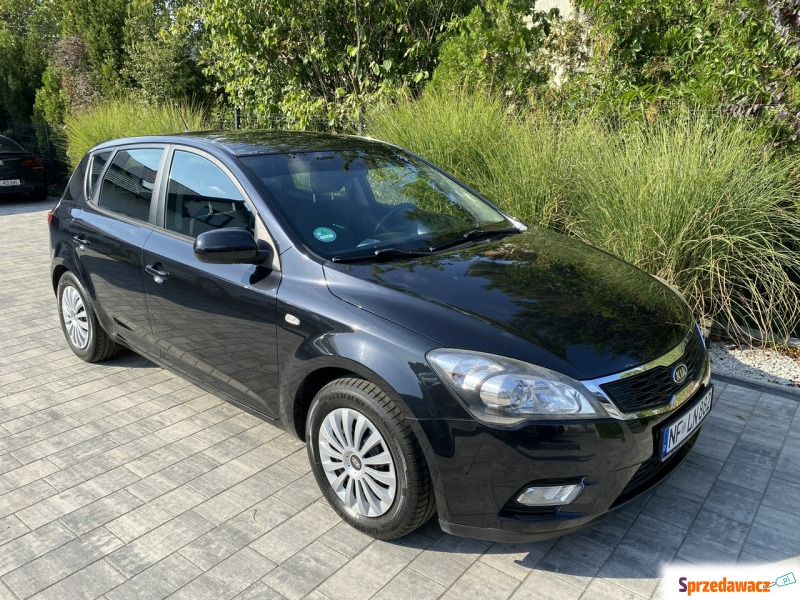 Kia Ceed  Hatchback 2010,  1.6 benzyna - Na sprzedaż za 20 900 zł - Poznań