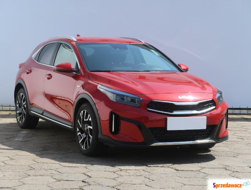 Kia XCeed 1.5 T-GDI (160KM), 2023 - Samochody osobowe - Bielany Wrocławskie