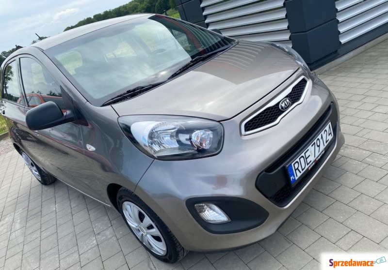 Kia Picanto  Hatchback 2013,  1.0 benzyna - Na sprzedaż za 19 999 zł - Strzegocice