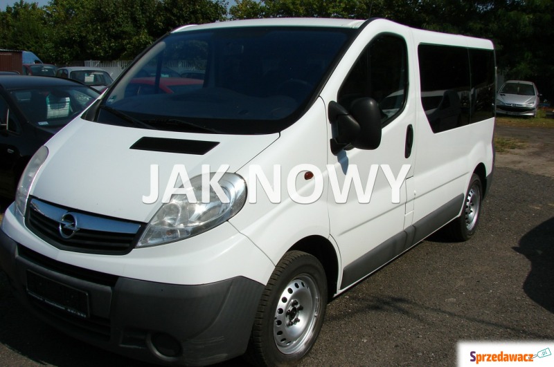 Opel Vivaro  Minivan/Van 2013,  2.0 diesel - Na sprzedaż za 38 000 zł - Piła