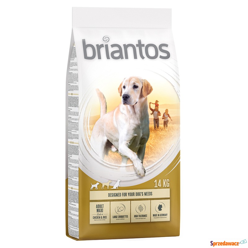 Dwupak Briantos - Adult Maxi, 2...