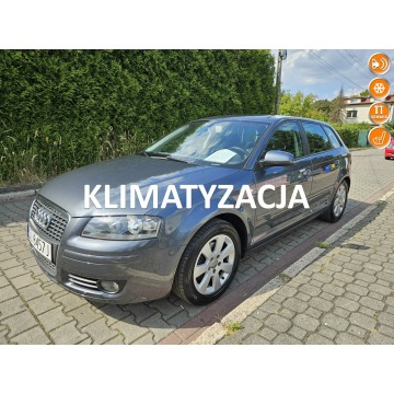 Audi A3 - Webasto ( oryginalne) / Klimatronic / 6 biegów / Podgrzewane fotele