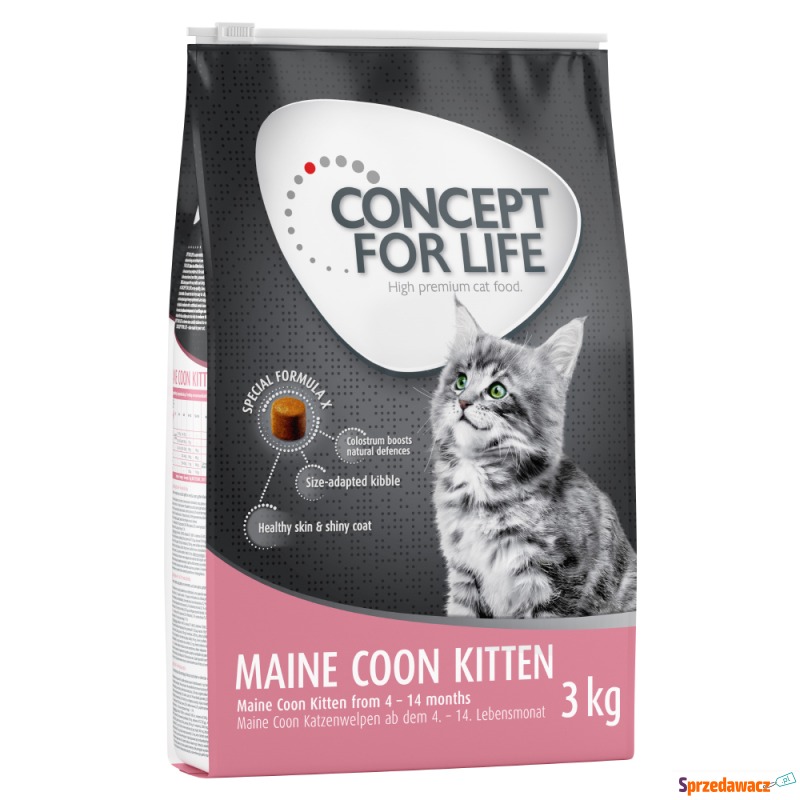 Concept for Life Maine Coon Kitten - Ulepszona... - Karmy dla kotów - Radom