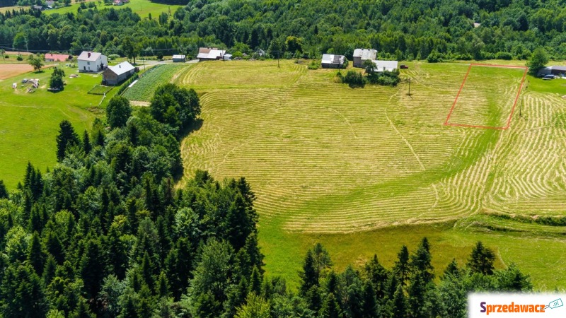 Działka budowlana Żurowa sprzedam, pow. 1200 m2  (12a)