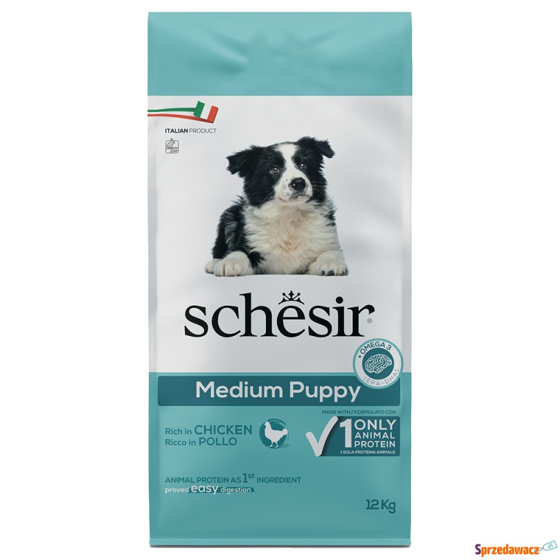 Schesir Dog Dry Medium Puppy, z kurczakiem - 2... - Karmy dla psów - Toruń