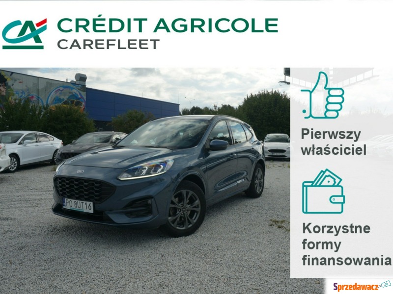 Ford Kuga - 2.0 EcoBlue/190 KM AWD ST-Line Fvat... - Samochody osobowe - Poznań