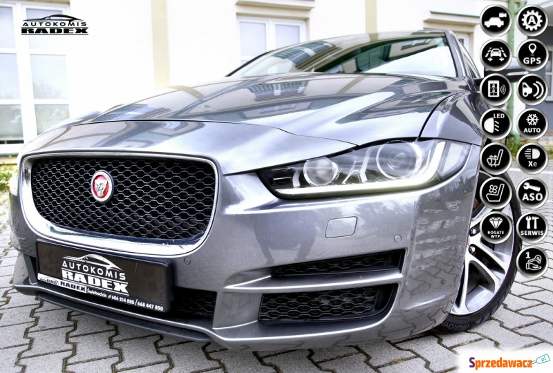 Jaguar XE - As.Pasa/Navi/Kamera/BiXenon/Skóry... - Samochody osobowe - Świebodzin