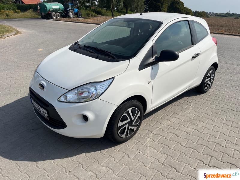 Ford KA, 1,2 benzyna klima 2014 r zarejestrowany,... - Samochody osobowe - Chojnice