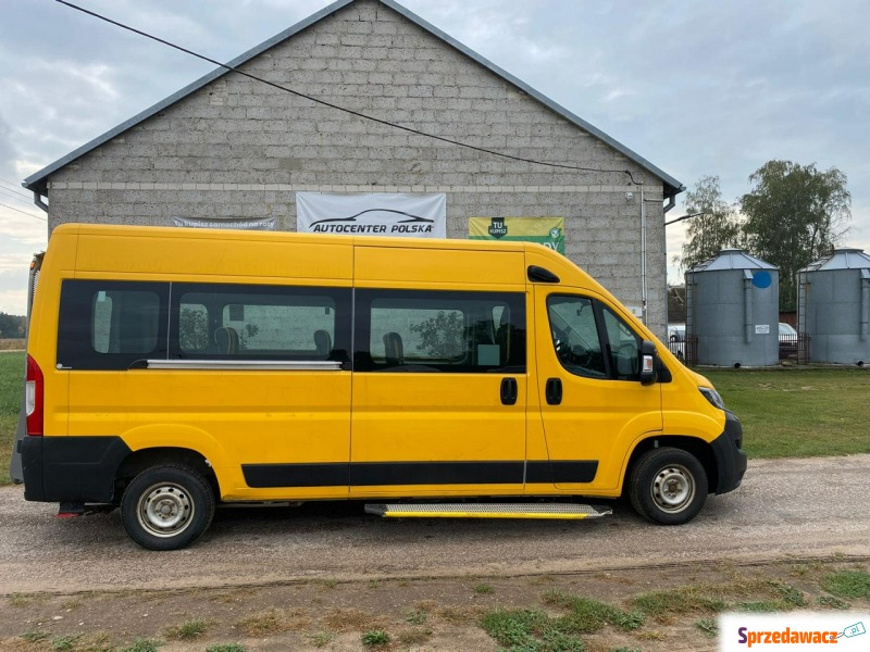 Fiat Ducato - 3,0 Benzyna z Gazem 8-osobowy rampa... - Samochody osobowe - Gąsocin