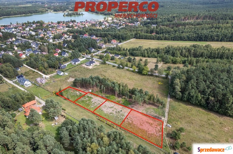 Działka 1070m2, las, zalew - Borków gm.Daleszyce - Działki na sprzedaż - Daleszyce