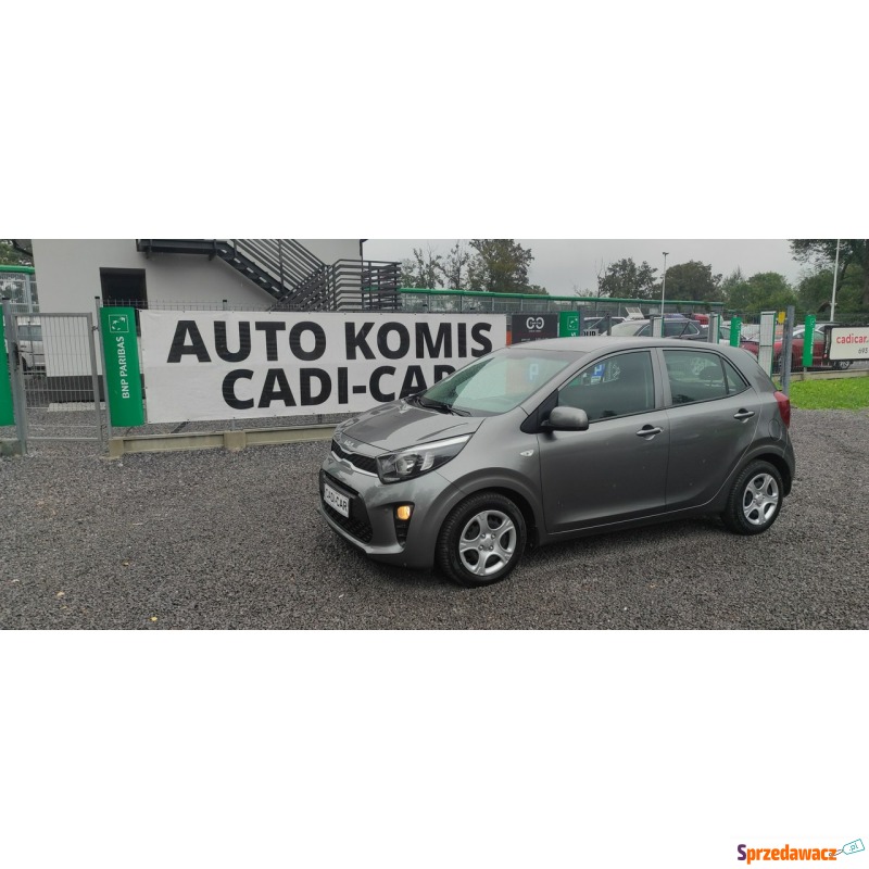 Kia Picanto - Krajowy, pierwszy właściciel. - Samochody osobowe - Goczałkowice-Zdrój