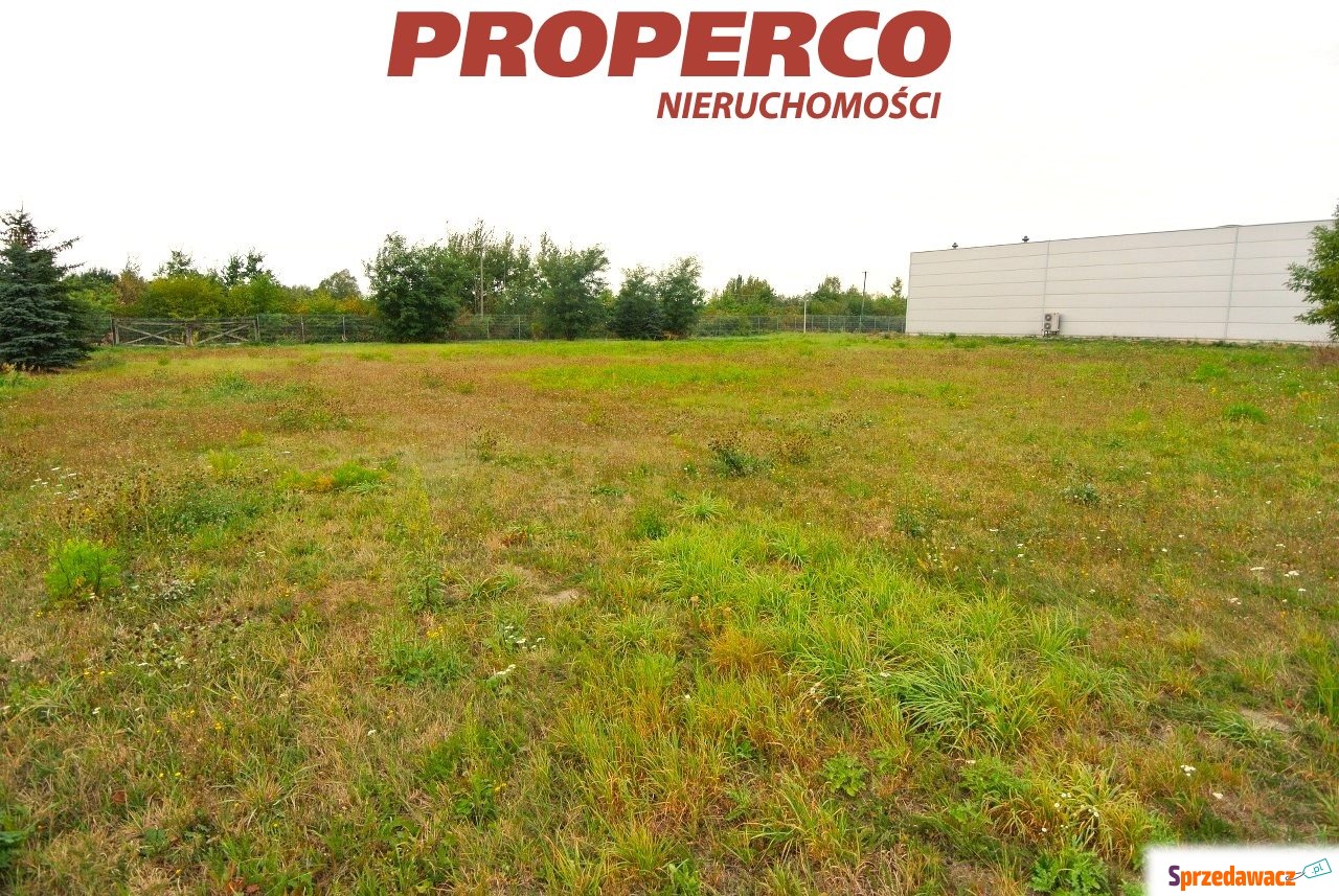 Działka 6000m2, Pawłowice gm....
