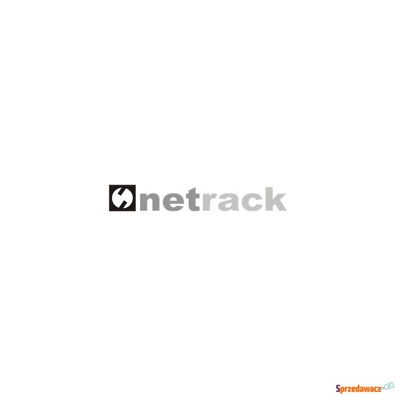 NETRACK V-Line Rack 19inch 2U/130mm - white metal... - Pozostałe - Bytom